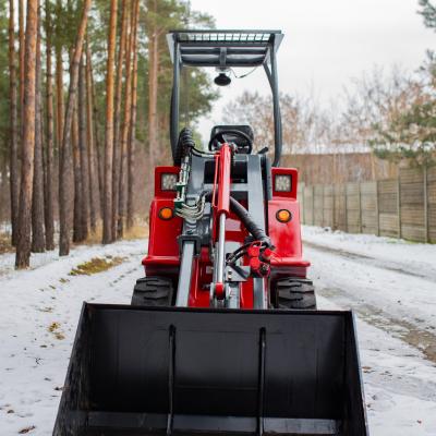 Kubota Traktor 18