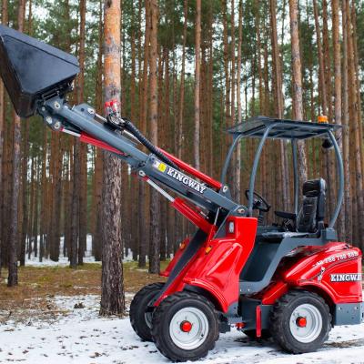 Kubota Traktor 1